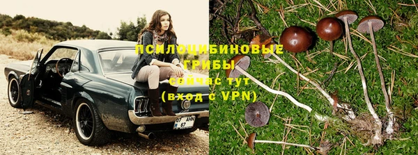 шишки Медногорск