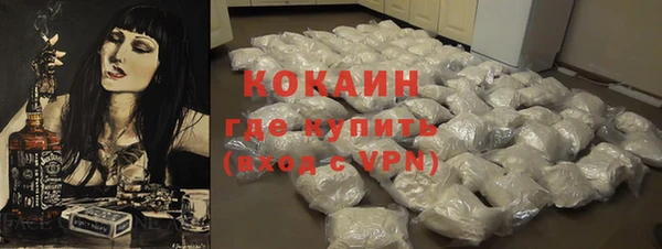шишки Медногорск