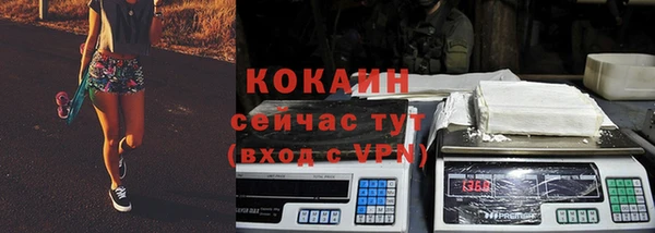 шишки Мегион