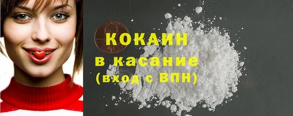 шишки Медногорск