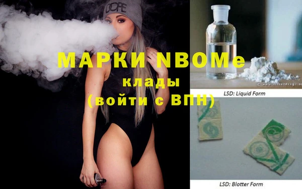 шишки Мегион