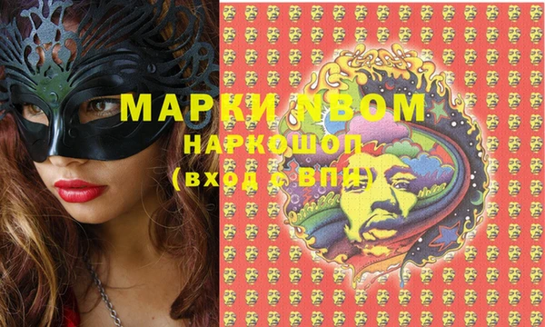 шишки Медногорск
