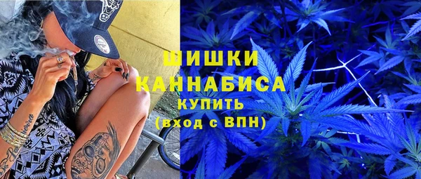шишки Мегион