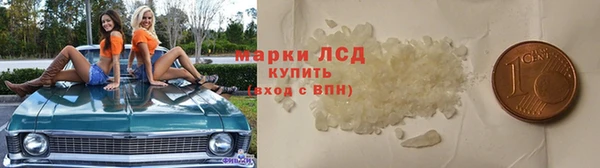 шишки Мегион