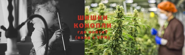 шишки Медногорск