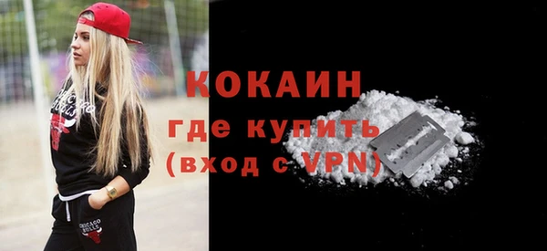 шишки Медногорск