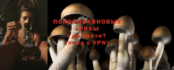 шишки Мегион