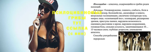 стаф Медвежьегорск