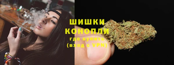 шишки Мегион