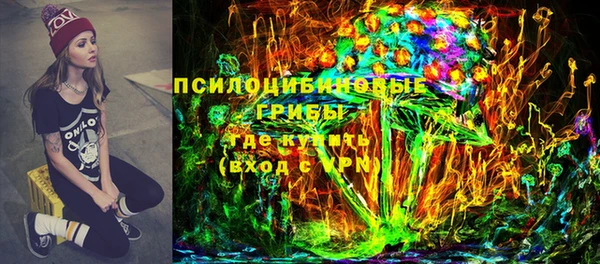 стаф Медвежьегорск