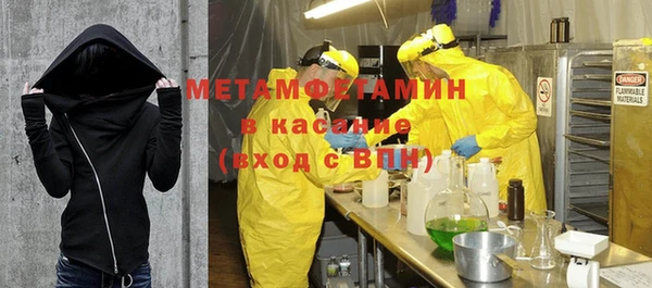 шишки Мегион