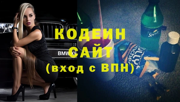 шишки Мегион