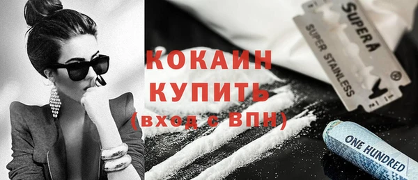 шишки Мегион