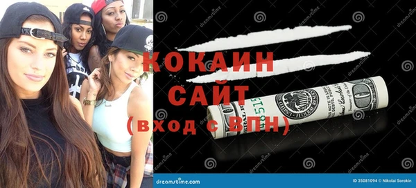 шишки Мегион