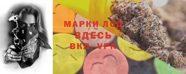 стаф Медвежьегорск