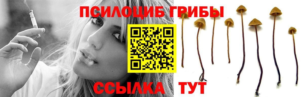 Галлюциногенные грибы Magic Shrooms  Псилоцибиновые грибы мухоморы  Благодарный  Вход с VPN 